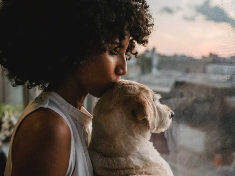 Beginning your journey